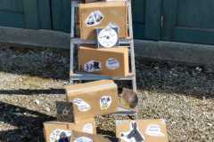 Filmbox-7